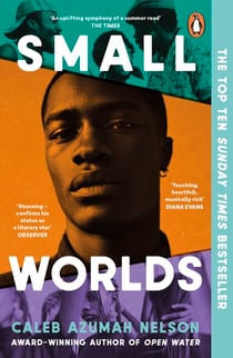 Small Worlds - THE TOP TEN SUNDAY TIMES BESTSELLER