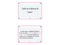 80 flashcards - 10,5 x 14,8 cm - Flash 2.0 Oxford - Petits carreaux - cadre rose