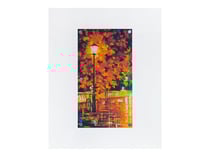 Chassîs magnétique 40 x 50 cm et 6 aimants extra forts Ø 10 mm Créalia