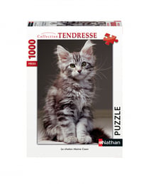 Puzzle Le chat Maine Coon - 1000 pièces