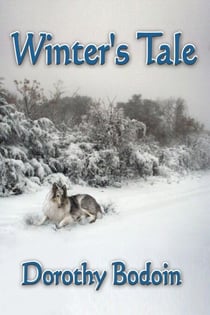 Winter's Tale - A Foxglove Corners Mystery, #3