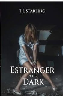 Estranger in the Dark - Detective Gerald McNeil Psychological Thriller, #1