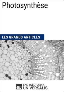 Photosynthèse - Les Grands Articles d'Universalis