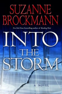 Into the Storm - A Novel