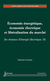 Économie énergétique, économie électrique et libéralisation du marché - Les réseaux d'énergie électrique 3A