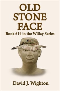 Old Stone Face - Wilizy, #14