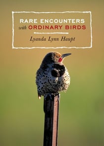 Rare Encounters with Ordinary Birds - A Bird Book for Adults