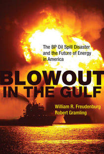 Blowout in the Gulf - The BP Oil Spill Disaster and the Future of Energy in America