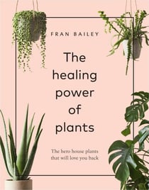 The Healing Power of Plants - The Hero House Plants that Love You Back
