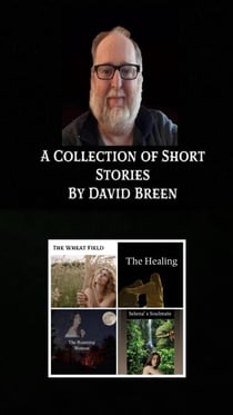 A Collection of Short Stories by David Breen
