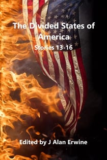 The Divided States of America: Stories 13-16