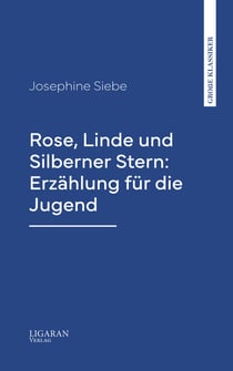 Rose, Linde und Silberner Stern: Erzählung für die Jugend