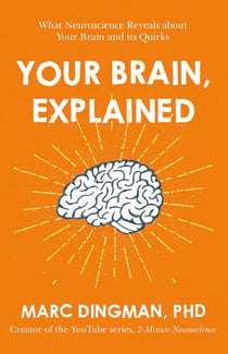 Your Brain, Explained - What Neuroscience Reveals about Your Brain and its Quirks
