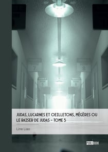Judas, lucarnes et oeilletons, Mégères ou Le baiser de Judas - Tome 3 - Mémoires vives, journal d’une crise
