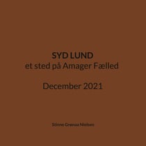 Syd Lund - et sted på Amager Fælled December 2021