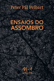 Ensaios do assombro