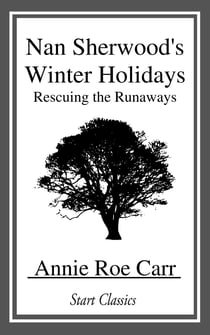 Nan Sherwood's Winter Holidays - Rescuing the Runaways