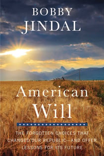 American Will - The Forgotten Choices That Changed Our Republic