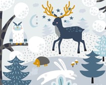 PEINTURE MAGIQUE MAGIE DE L'HIVER NED