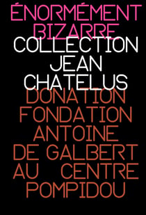 Énormément bizarre - Collection Jean Chatelus - Donation fondation Antoine de Galbert au Centre Pompidou