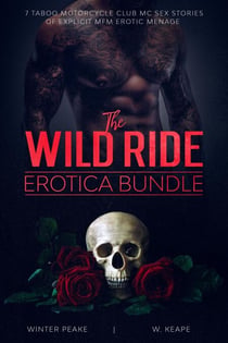 The Wild Ride Erotica Bundle