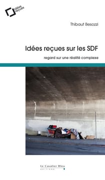 Idees recues sur les sdf - regard sur une réalité complexe