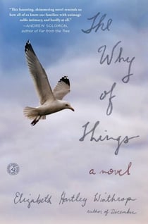 The Why of Things - A Novel