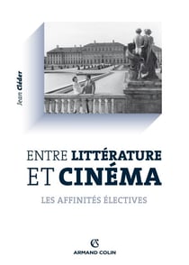 Entre littérature et cinéma - Les affinités électives