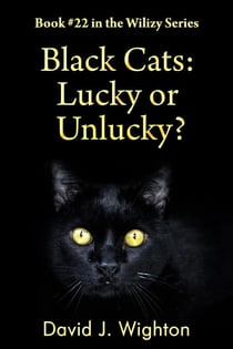 Black Cats: Lucky or Unlucky? - Wilizy, #22