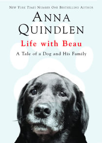 Life with Beau - A Tale of a Dog and His Family