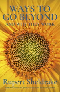 Ways to Go Beyond and Why They Work - Seven Spiritual Practices in a Scientific Age