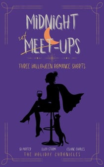 Midnight Meet-Ups - The Holiday Chronicles, #1