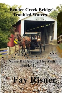 Bender Creek Bridge's Troubled Waters - Nurse Hal Among The Amish, #11