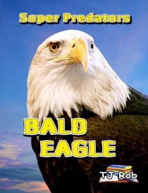 Bald Eagle - Super Predators