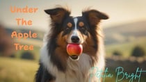 Under The Apple Tree