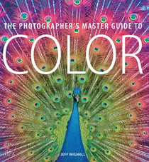 The Photographer's Master Guide to Colour