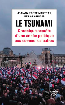 Le tsunami