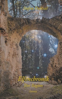 Chroniken einer Reise 1 - Elfenchronik - Der Beginn