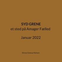Syd Grene - et sted på Amager Fælled Januar 2022