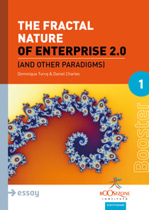 The Fractal Nature of Enterprise 2.0 - And Other Paradigms