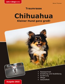Traumrasse: Chihuahua - Kleiner Hund ganz groß!
