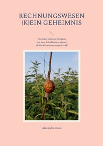 Rechnungswesen (k)ein Geheimnis - Über den sicheren Umgang mit dem Schulkontenrahmen der StBK