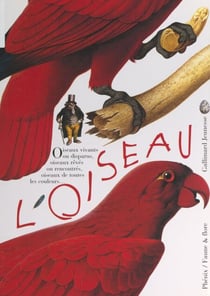 L'oiseau, vivant ou rêvé, peint ou sculpté, observé et identifié, à aimer et à protéger