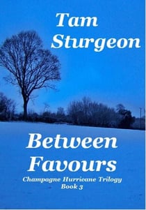 Between Favours - The Champagne Hurricane Trilogy - Book 3