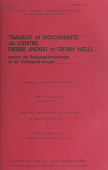 Sépultures mérovingiennes en sarcophages de Creuzier-le-Vieux (Allier)