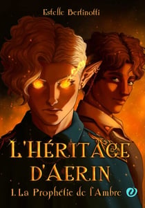 L'Héritage d'Aerin : 1. La Prophétie de l'Ambre