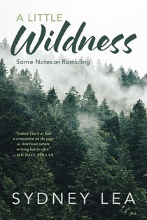 Little Wildness - Some Notes on Rambling
