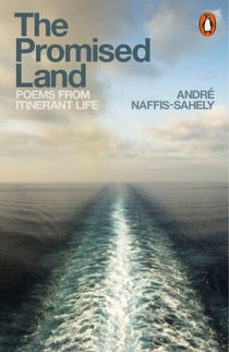 The Promised Land - Poems from Itinerant Life