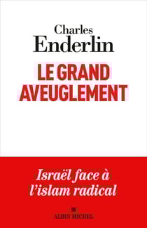 Le Grand Aveuglement (nouvelle édition augmentée) - Israël face à l’islam radical