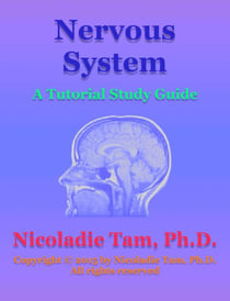 Nervous System: A Tutorial Study Guide